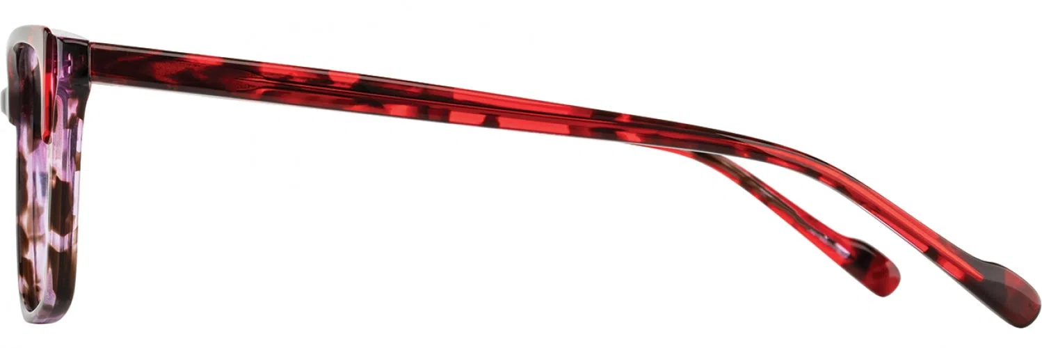 Scott Harris SH924 Eyeglasses - view 11